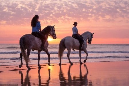 Agadir guided horse riding